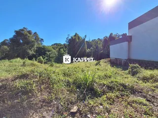 Vista externa de uma propriedade com vegetação alta no primeiro plano.