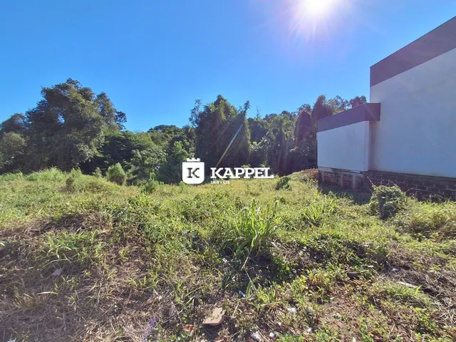 Vista externa de uma propriedade com vegetação alta no primeiro plano.