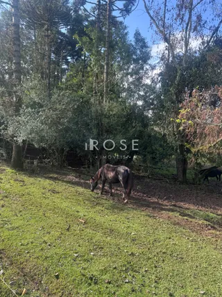 Área rural, foto 6