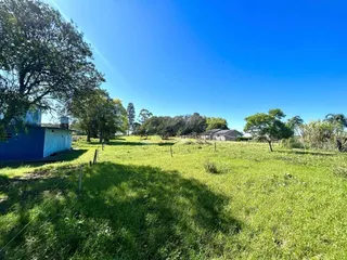 Uma paisagem de campo verde sob um céu azul claro.