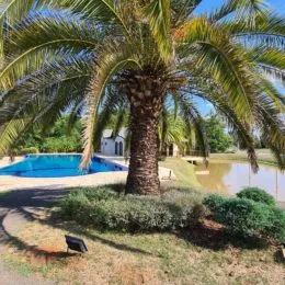 Terreno, foto 4