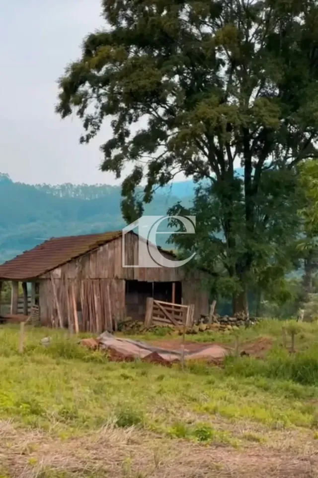Área rural com 3 dormitórios, foto 5