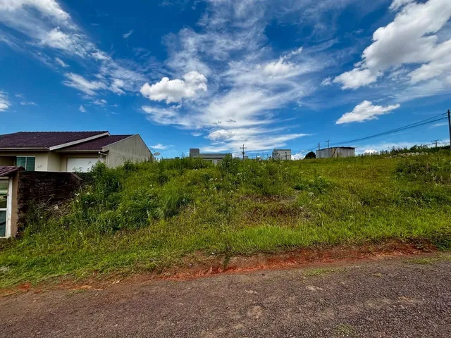 Terreno, foto 5