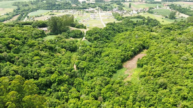 Vista aérea de uma área rural densamente arborizada com terrenos abertos ao fundo.