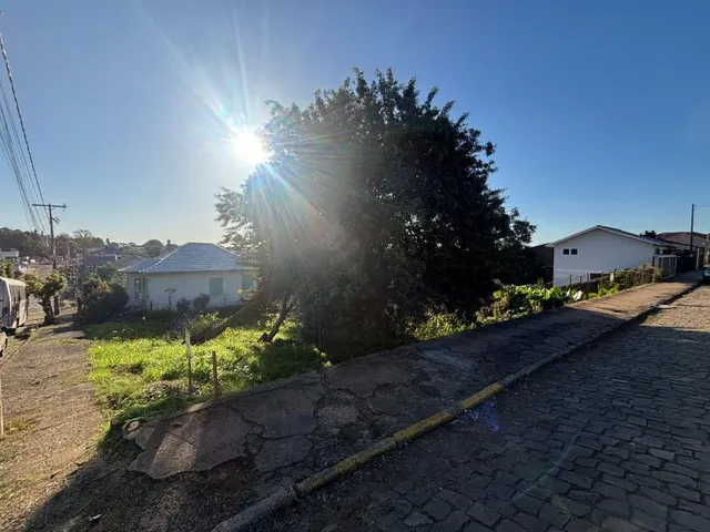 Terreno