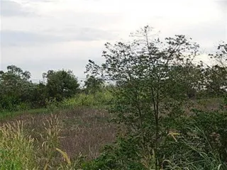 Terreno, foto 2