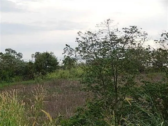 Terreno, foto 2