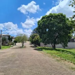 Vista da rua com árvores e grama em Lajeado.
