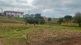 Casa com 4 dormitórios, foto 8