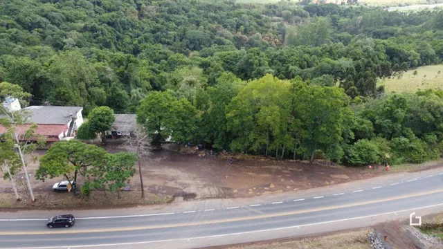 Paisagem rural com vegetação densa ao longo de uma estrada.