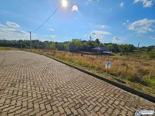 Terreno, foto 15