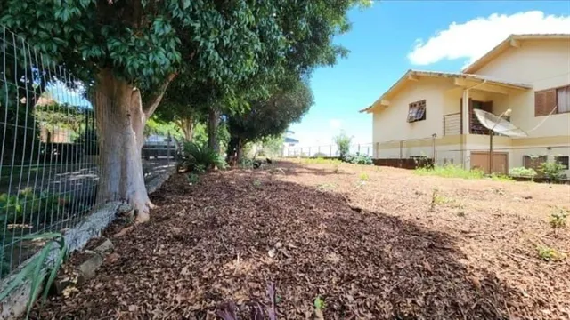 Terreno, foto 2
