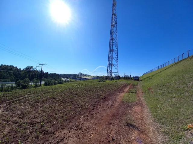 Vista de um campo aberto com uma estrada de terra e uma torre de transmissão ao fundo.