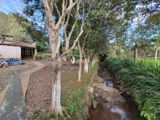 Vista de um riacho e vegetação ao lado de um caminho de terra.