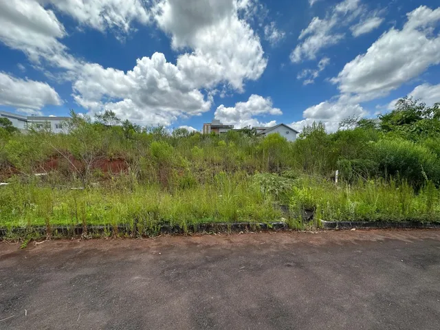 Vista externa de vegetação densa em uma área de propriedade.