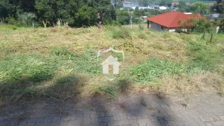 Terreno, foto 1