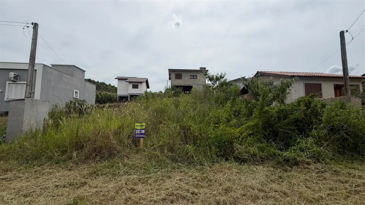 Terreno, foto 1