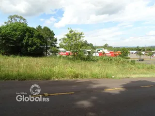 Vista externa de uma propriedade com vegetação e estrada.