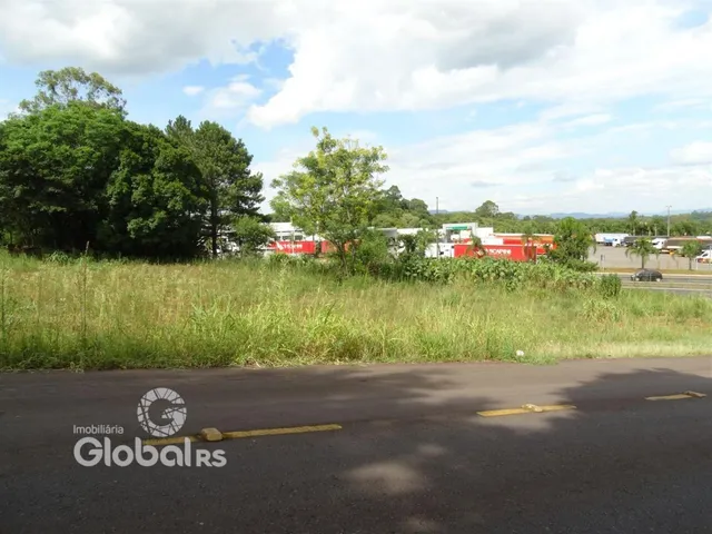 Vista externa de uma propriedade com vegetação e estrada.
