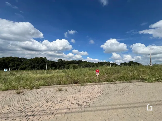 Terreno, foto 3