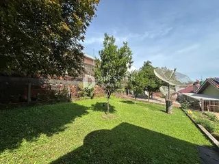 Jardim gramado com árvores e um muro de tijolos ao fundo.