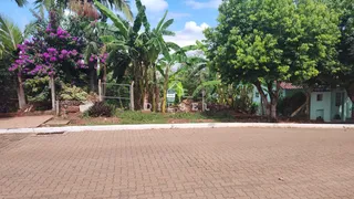 Terreno, foto 1