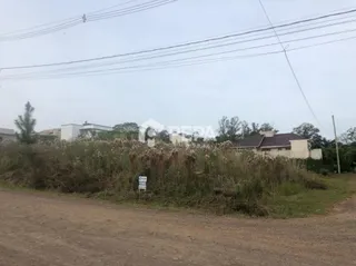 Terreno, foto 2