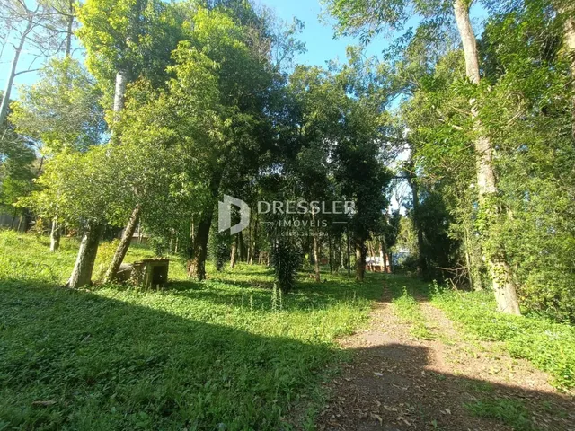 Área rural