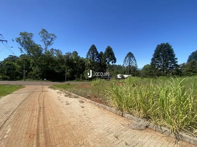 Vista da estrada de acesso à propriedade em Lajeado.