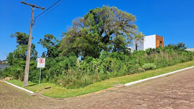 Terreno, foto 2