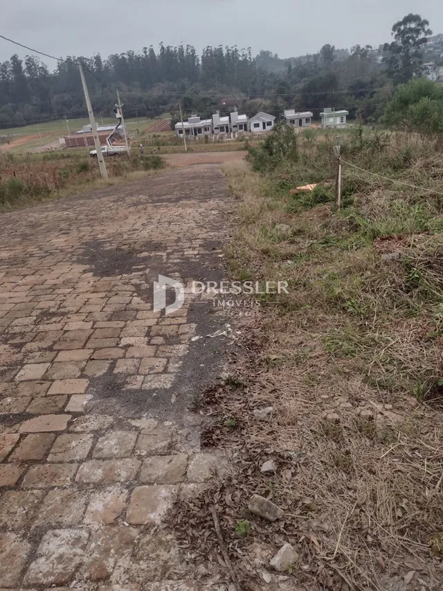 Terreno, foto 3