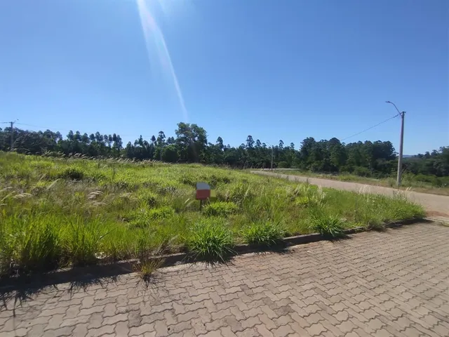 Terreno, foto 3