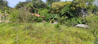 Vista externa de um terreno com vegetação densa e grama alta.