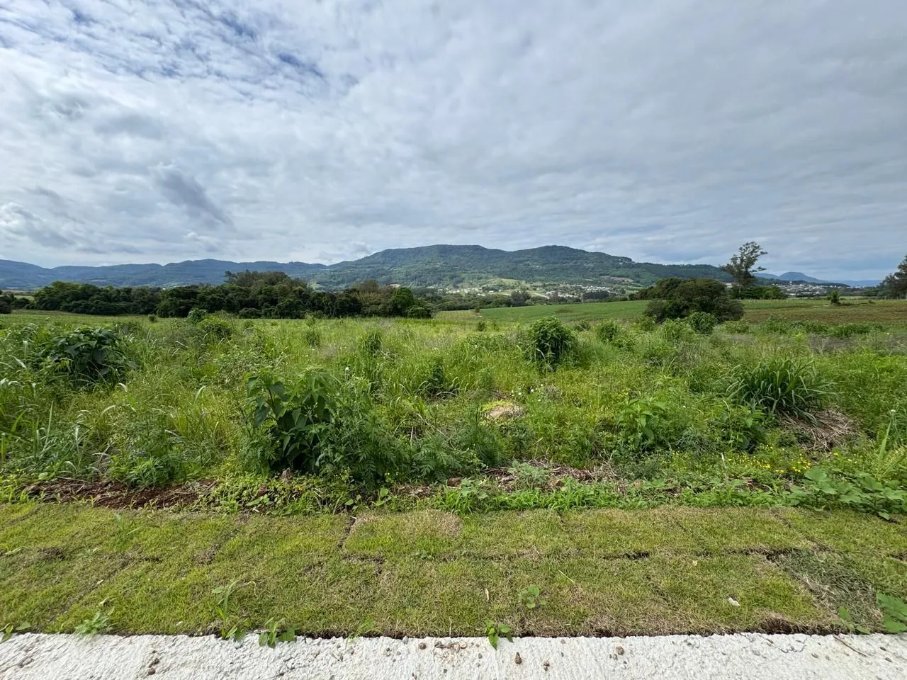 Terreno, foto 1