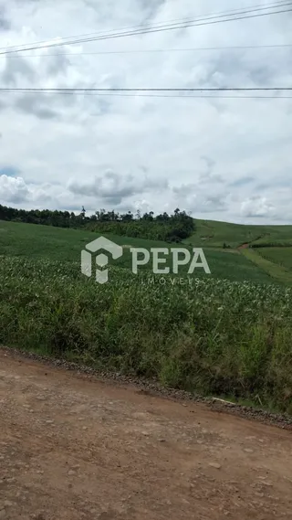 Terreno, foto 1