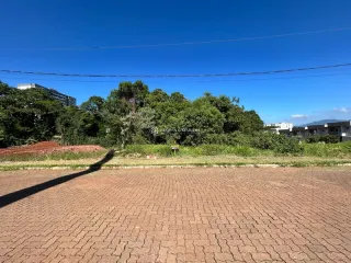Vista externa de uma área com vegetação e pavimento.