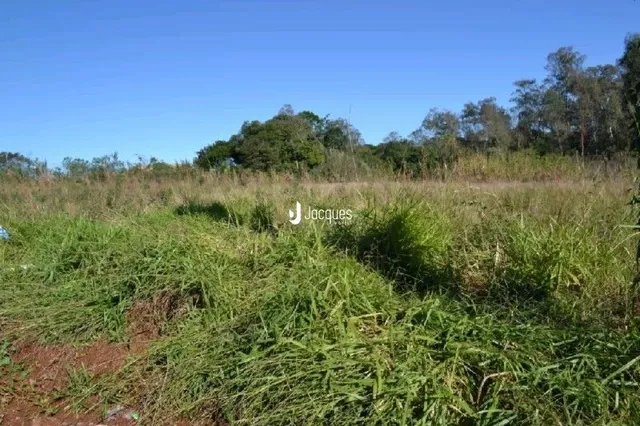 Campo de grama verde com vegetação densa ao fundo.