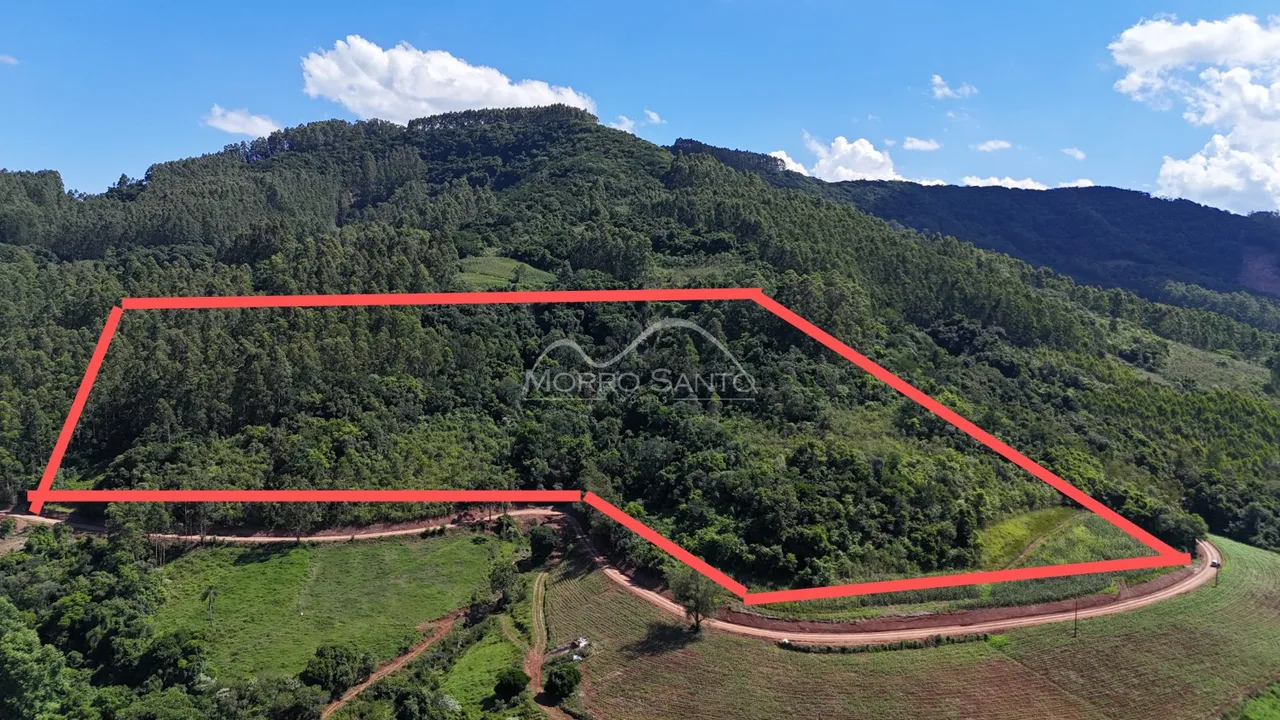 Vista aérea da propriedade mostrando uma área de mata densa e colinas verdes.