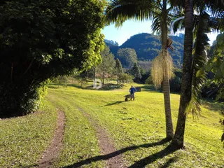 Área rural com 4 dormitórios, foto 31
