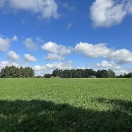 Área rural, foto 10