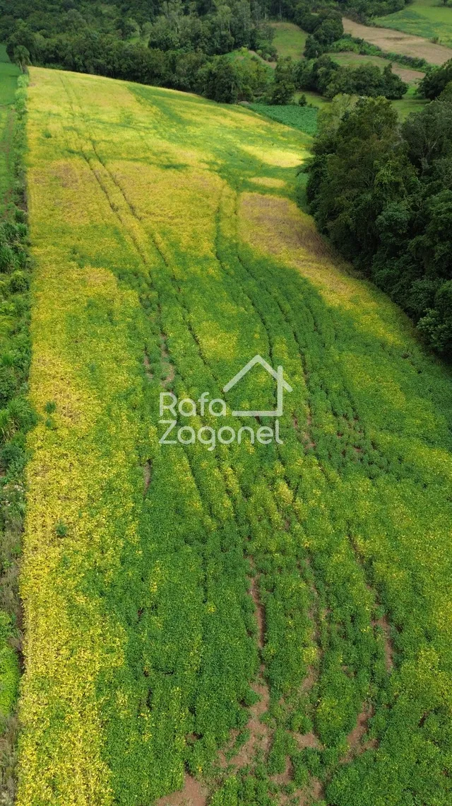 Área rural, foto 3