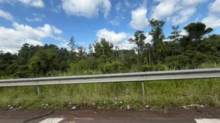 Área rural, foto 6