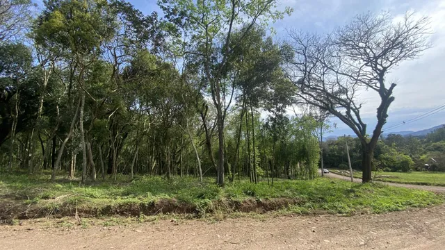 Imóvel, foto 3