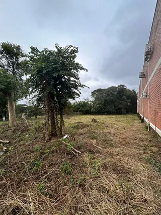 Terreno, foto 7