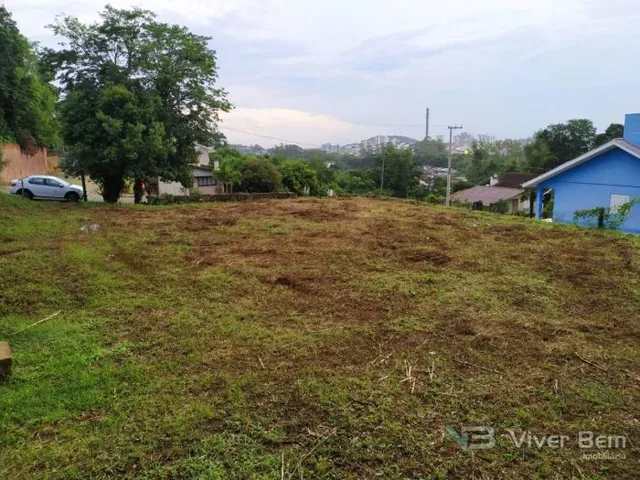 Terreno, foto 3