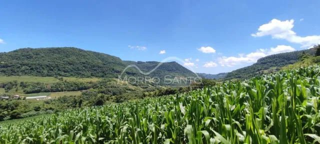 Área rural, foto 3