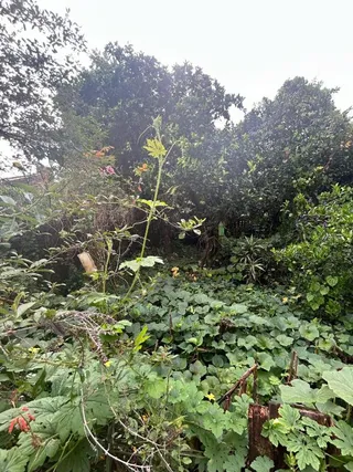 Casa com 3 dormitórios, foto 8