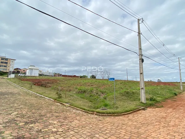 Vista da propriedade com área gramada e estrada no exterior.
