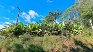 Área rural, foto 3