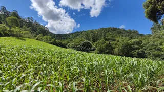 Área rural, foto 8